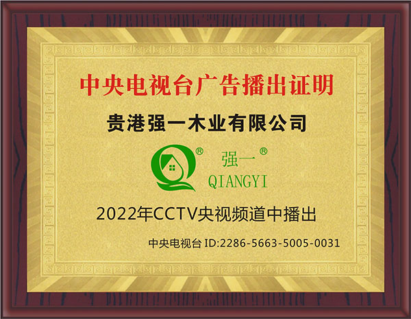 中央電視臺廣告播出證明